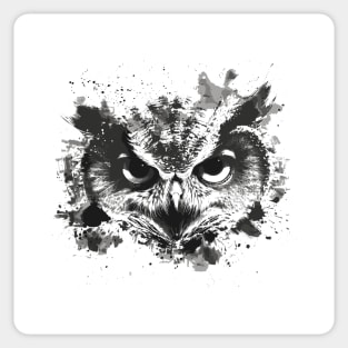Owl Eyes Sticker